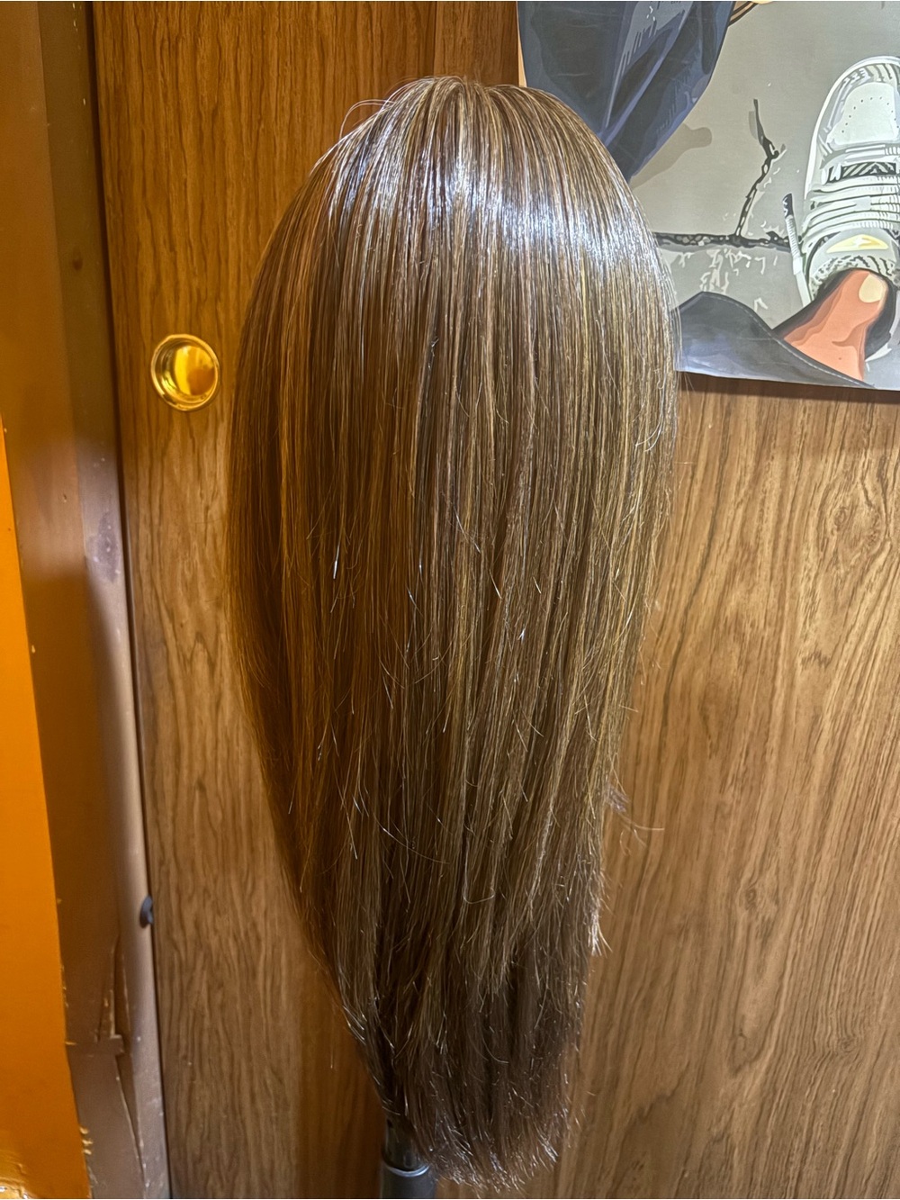 TressAllure Glam monofilament Brown Straight Women's Wig - Smooth Long Hair